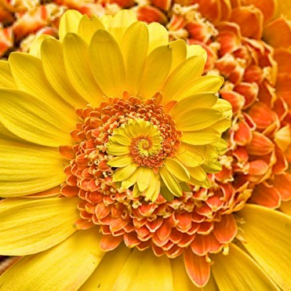 💚💙❤️💛🧡💚💙❤️💛🧡💚💙❤️💛🧡 - Picture 13 of 14